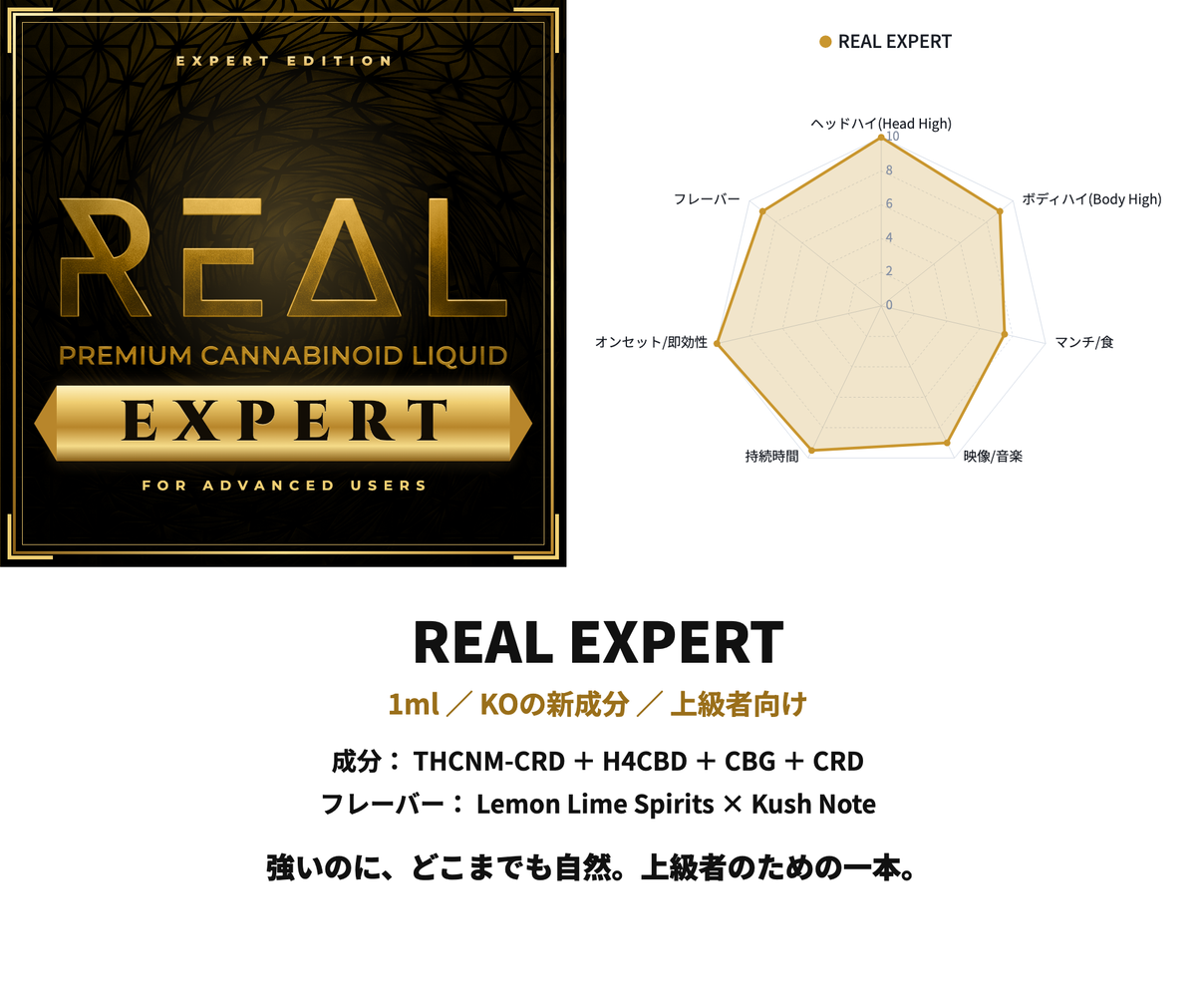 REAL EXPERT 合体画像